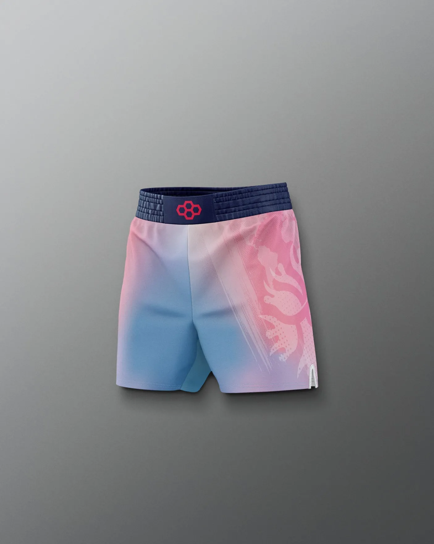 UWW Gradient Boy's Elite Shorts