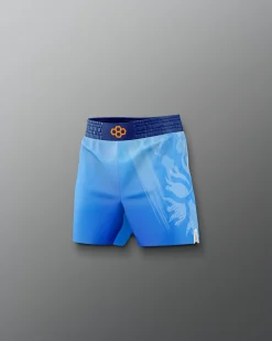 UWW Gradient Boy's Elite Shorts